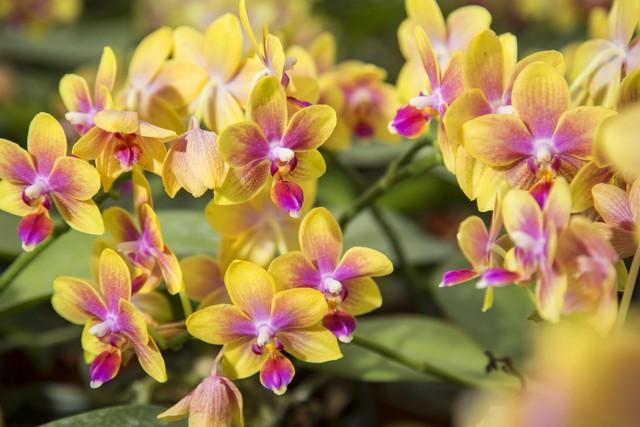 两性关系：为什么女人过了50岁，比年轻时更渴望这三种陪伴？