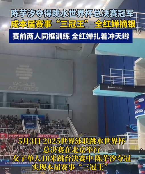 全红婵退赛，陈芋汐连夺3金，赛后采访暴露格局，周继红没看走眼