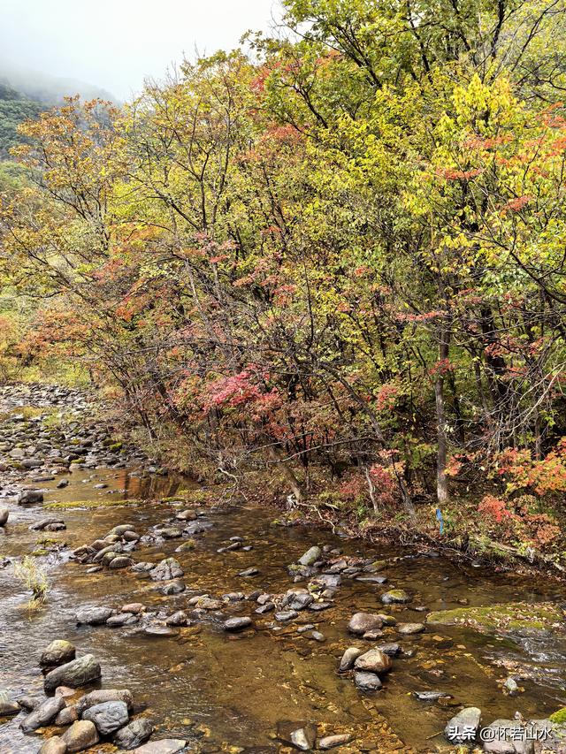 2025辽宁赏秋之旅日记(2)——游览丹东蒲石河森林公园