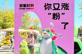 莒县娃娃集合！国庆一大波活动来袭……图片