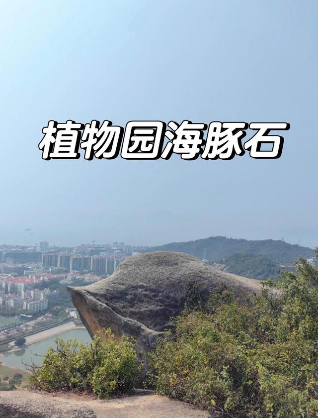 厦门植物园海豚石，山顶一块岩石，因生动的外观而备受登山者喜爱