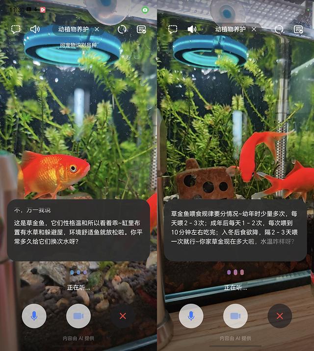 荣耀Magic8 Pro首发体验：由AI引导的手机自进化