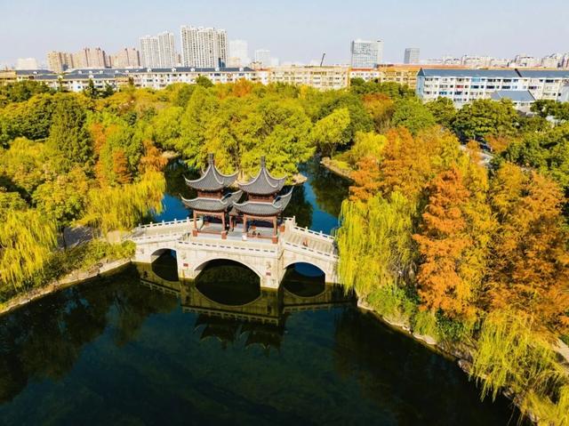 秋色限定!沪上园林已达颜值巅峰→