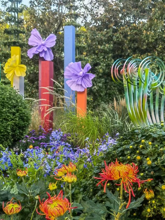 11月30日:2025年上海菊花展华丽登场