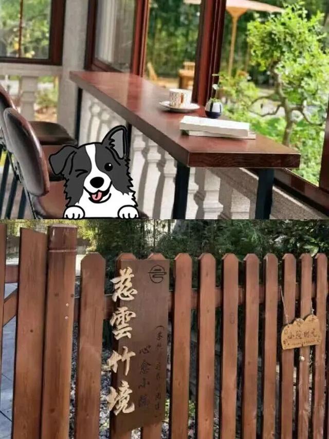 上榜！富阳这2条线路，“康养+赏秋”体验感拉满！