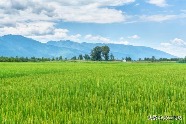 今夏最热两天登场！新一轮降水范围已确定，明后天7月16~17号天气