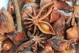 香料之一 八角图片
