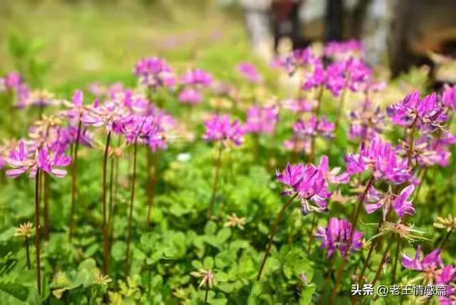 女人在什么时候最花心，女人到了中年最花心。