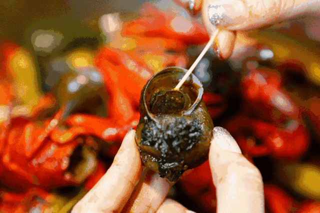 一半是安逸养老，一半是熬夜天堂！这座城冬天有鲜花，凌晨有人潮