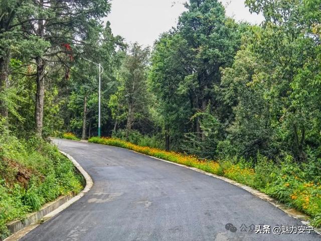 草原阿姨“南下记”：逃离塞北热浪，一头扎进安宁温泉 | 旅居安宁
