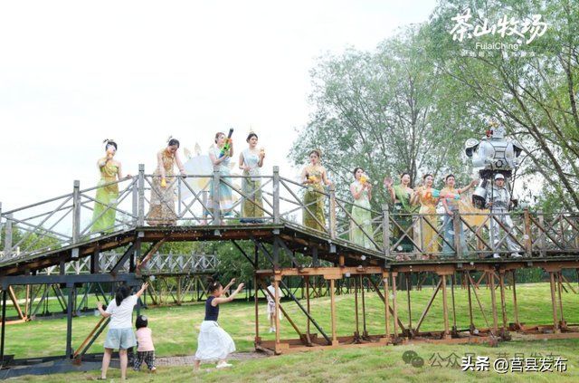 莒县文旅再焕新！浮来青“茶山牧场”开门迎客！