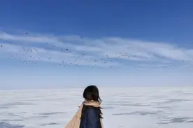 《雪国》：生命是一场虚妄，活着是唯一的真相图片