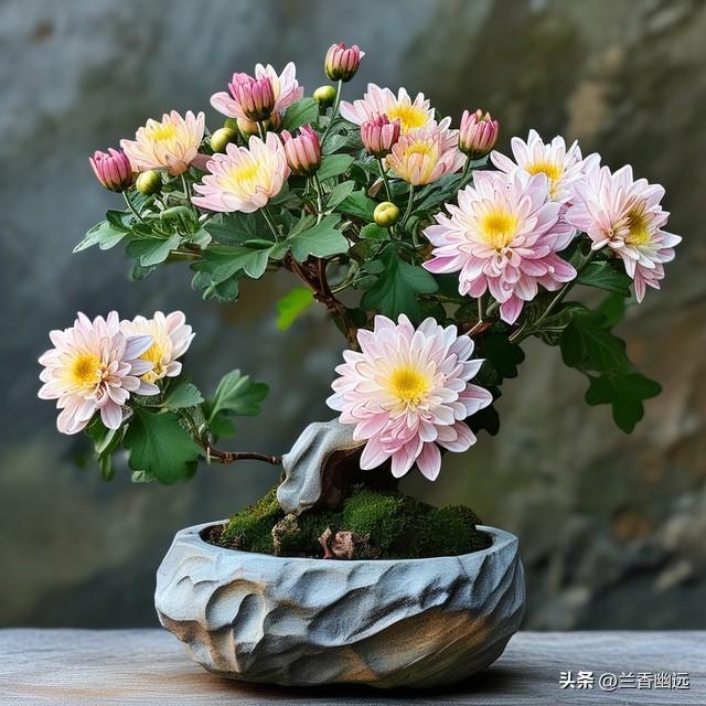 两性关系，68女人大实话	，男人过了70岁，只剩下两个用处