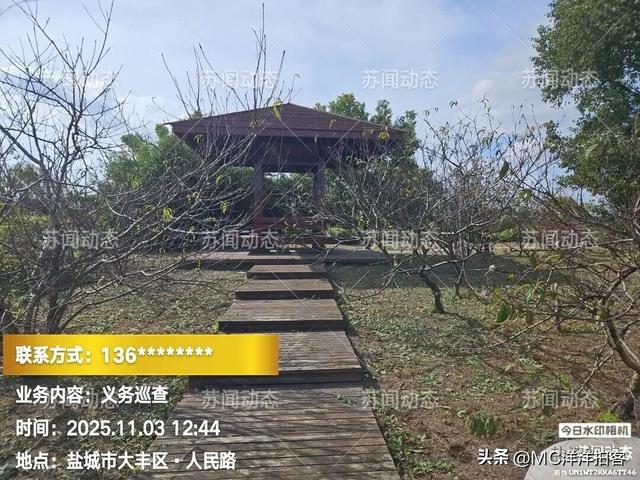 大丰人民路"寿园"：荒了里子，丢了面子，有关领导岀来看一看！