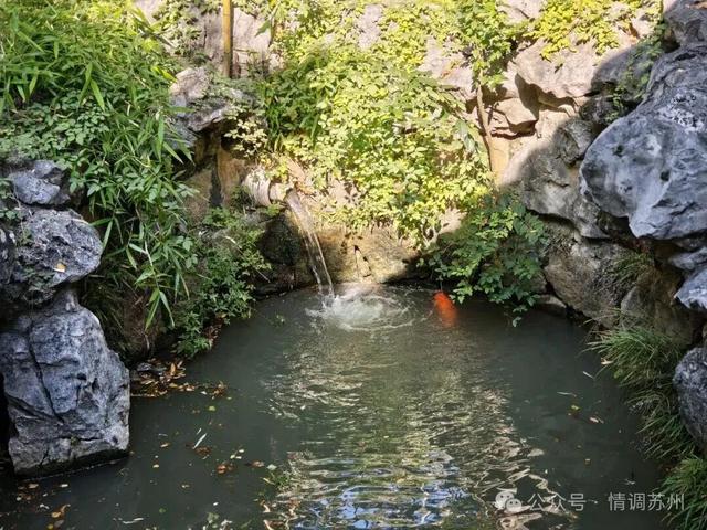 苏州胥江边这个宝藏“大公园”，超好逛！