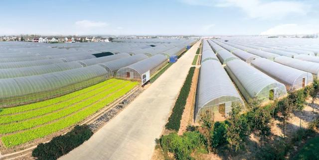 “沪派江南-复兴市集”第五期嘉定专场，风物叙事等您来赏