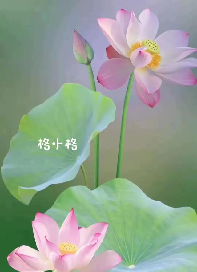 “立秋要躲秋，不能床上躺”，8月7日立秋，该怎么“躲秋”呢？