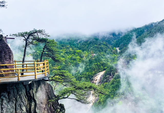明月山免票福利来啦！三八妇女节邀你一起“上春山”！