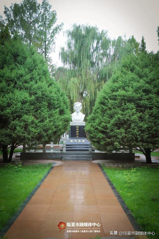 秋雨落，诗意起…邂逅临夏秋雨的美