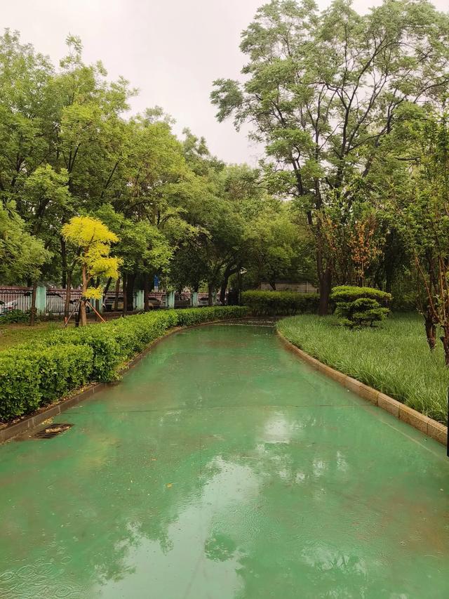 天津雨中的《红光公园》