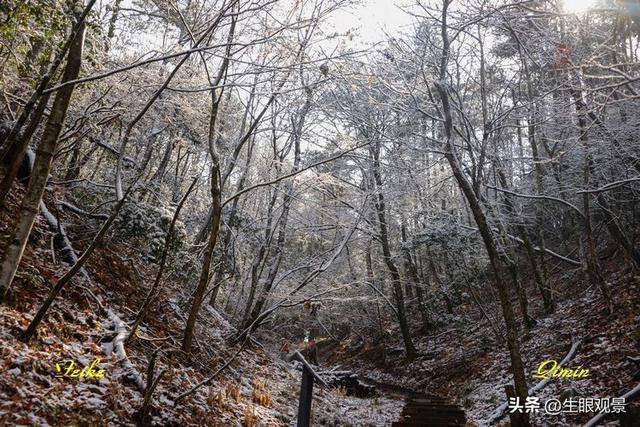 影记 | 衢州钱江源国家森林公园