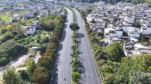 绿美大凤路：一路生花一路景