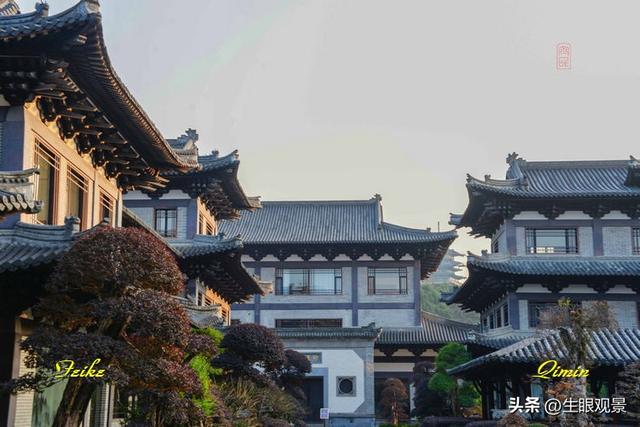 影记 | 衢州根雕艺术之都——根宫佛国(上)