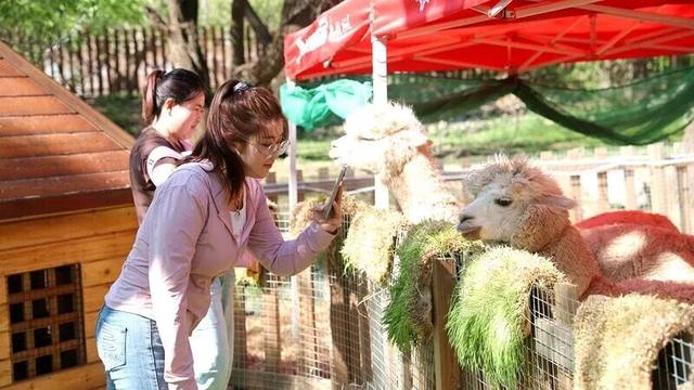 休闲漫游 探索回民区：开学季邂逅青城之美