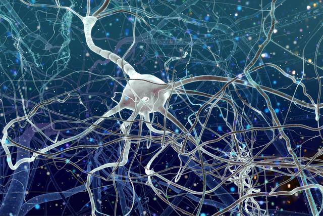 哈佛研究：新生儿出生体重越接近这范围，孩子越聪明，你家娃是吗