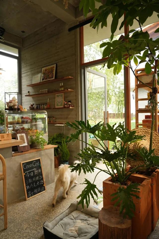 爱你老己，周末仁寿见！