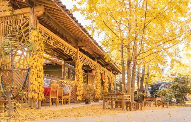 全国能让你爽到爆的过冬城市只有下面5座，有你家乡吗？