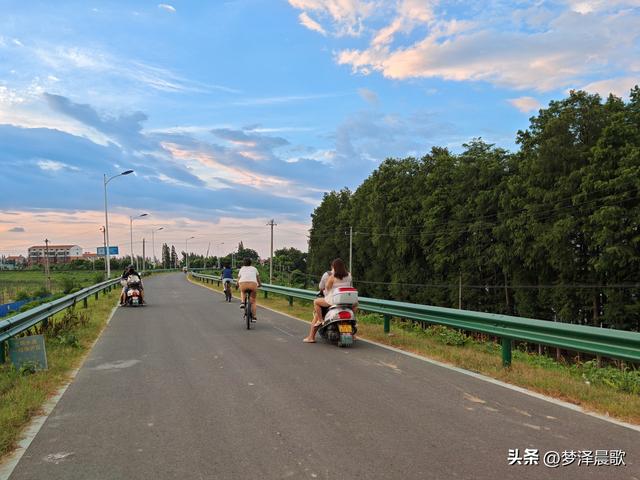 云梦：府河大堤好纳凉 城市绿廊变身"天然空调房"