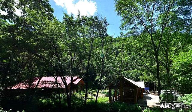 漫话九十年代前的关门山那时还是一座林场一切都是原生态