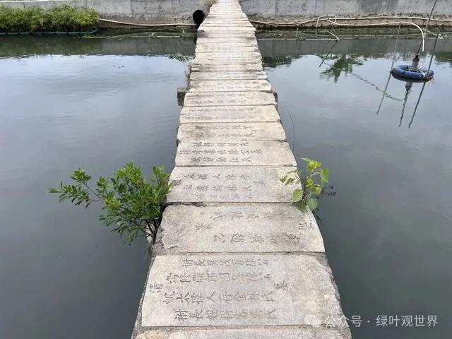 潮汕“奈何桥”，晚上你敢走吗？