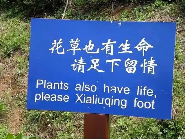 继德国之后，英国也开始贴出“中文标语”？中国游客：不能够接受