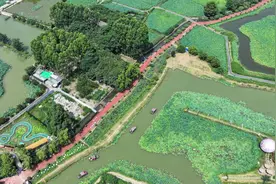 千亩荷塘，“荷”你相约图片