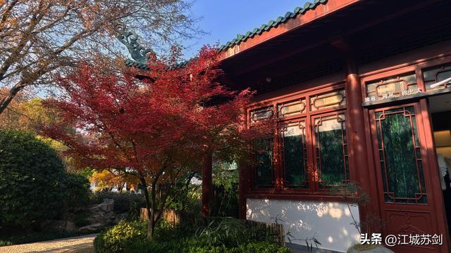 霜影下的城市绯霞