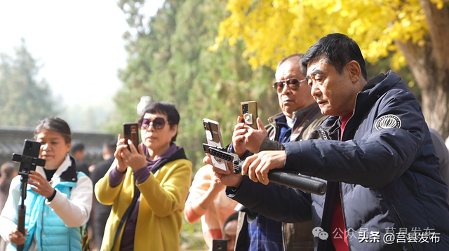 杏好遇见，刚刚好！