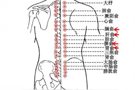 这几个“散结穴”，每天捏一捏，身体疏通了，结节自己就散了图片