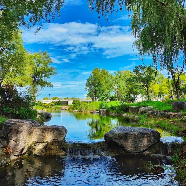 【许昌夏味漫游】躲进绿荫，邂逅25℃的夏天！