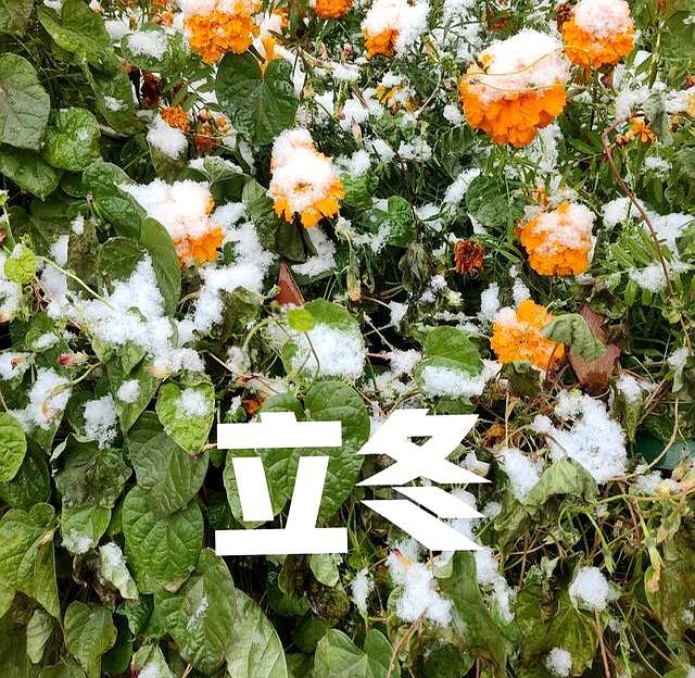 “上午立冬大雪封门，下午立冬单衣过冬”，今年立冬在哪？