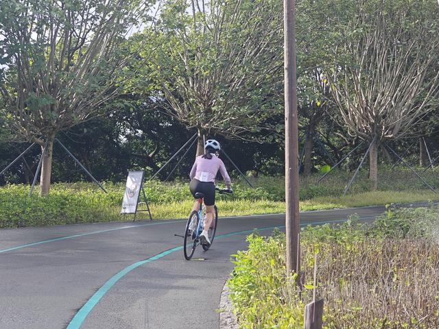 西丽湖绿道，慢慢骑慢慢地欣赏。