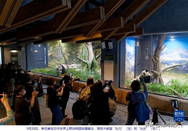 没有回旋余地，中国下令直接收回，17万日本人泪奔	，高市闯祸了！