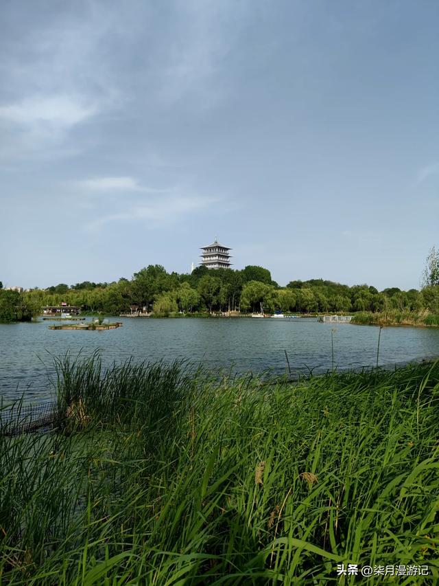西安东郊最大的公园蔷薇花还很美,露营的游客多,小桥流水游乐场
