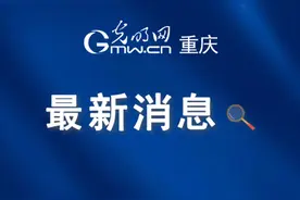 重庆新机场建设资金从哪来？重庆市财政局答复了图片