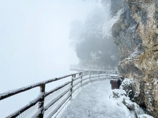 2025龙头山今冬第一场雪已至!快出发来赏雪~