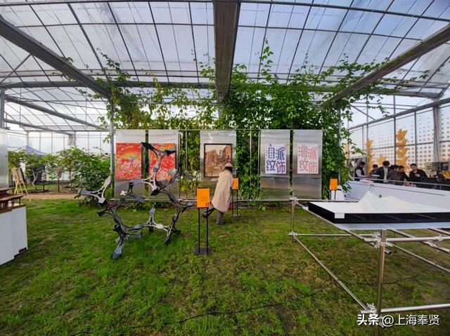 “乡”遇奉贤·南桥镇篇丨一站式乐园解锁新玩法，快来探秘当代“桃花源”吧！