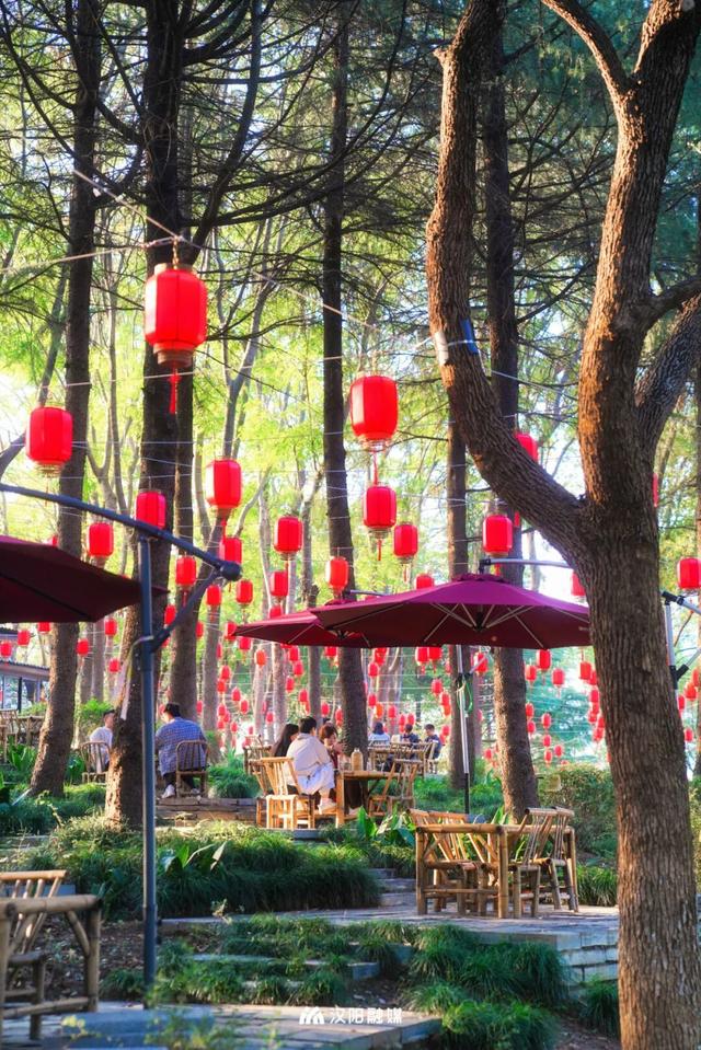 武汉城中心的彩叶秘境，在汉阳藏不住了！