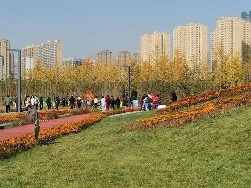 北京没想到，天津也没想到，现在的雄安	，怎么突然这么火了！