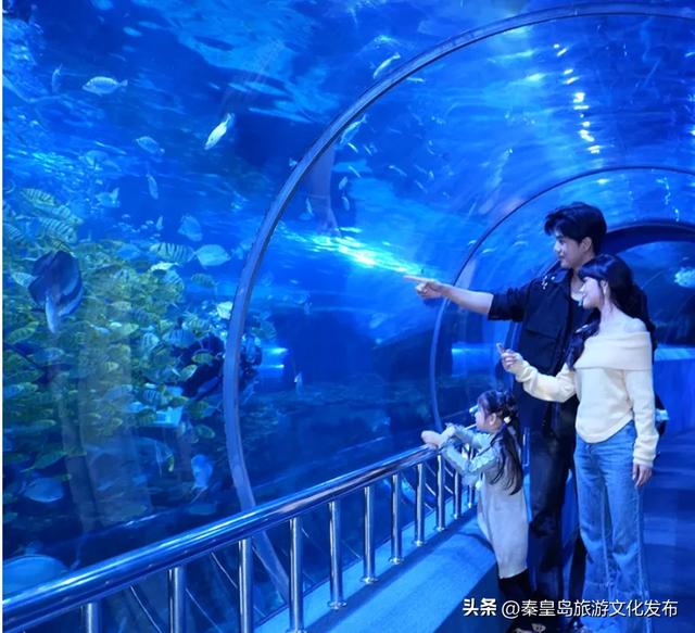 乘坐“星光·燕赵号”全景旅游列车，奔赴秦皇岛山海的浪漫之约！